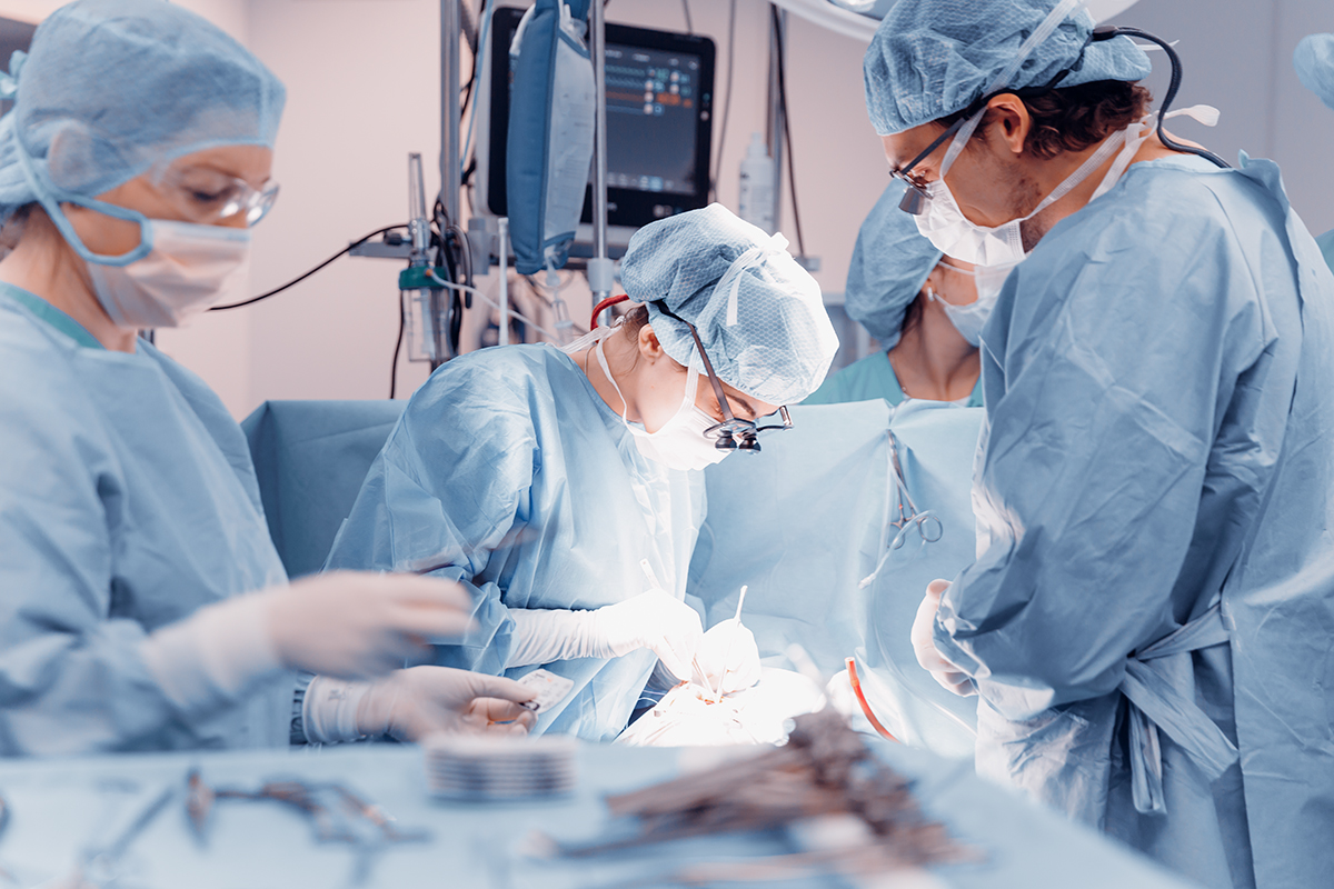 3_31102025.jpg 3_31102025.jpg